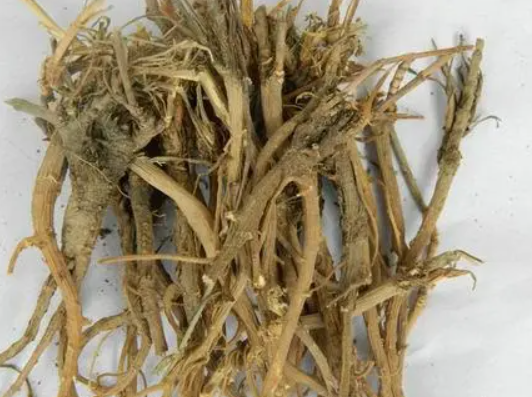 柴胡的功效与作用禁忌（柴胡的功效与作用禁忌症）
