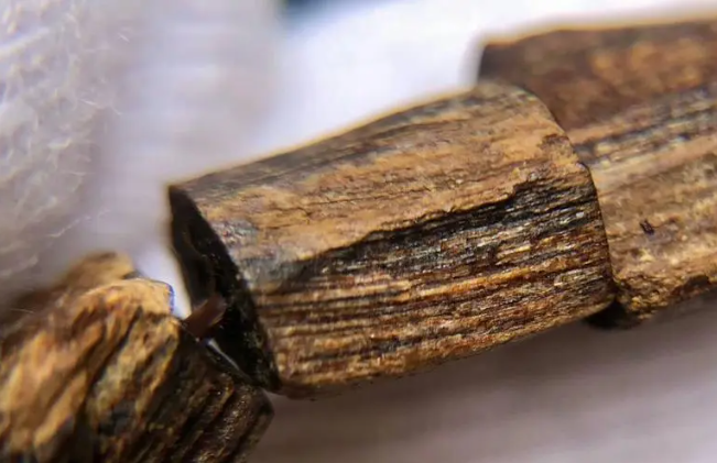 沉香木功效与作用（沉香木的作用与功效与作用）
