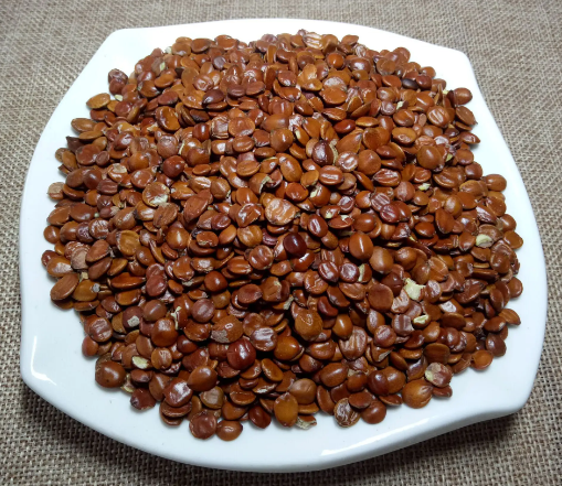 炒枣仁的功效与作用（炒枣仁的功效与作用是什么）