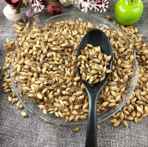 炒麦芽功效与作用（山楂炒麦芽功效与作用）