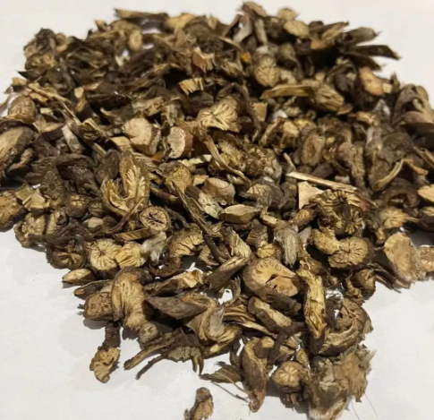 白头翁的功效与作用（白头翁的功效与作用图片）