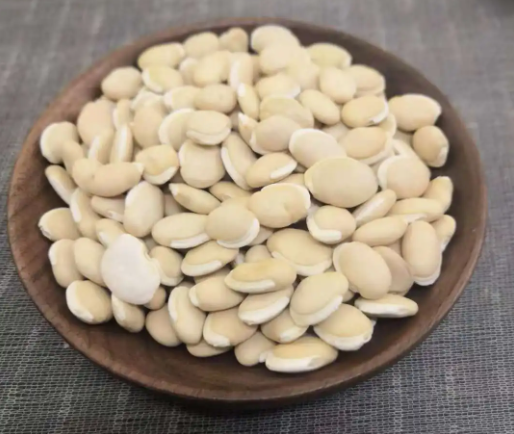 白扁豆的作用与功效（白扁豆的作用与功效图片）