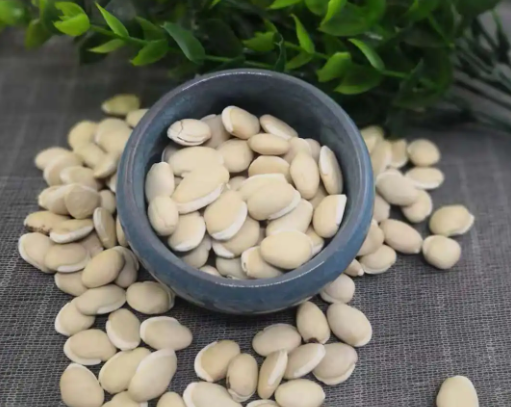 白扁豆功效与作用（茯苓陈皮炒白扁豆功效与作用）