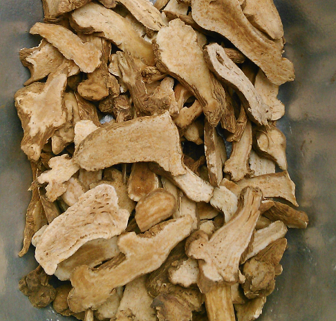 白术的作用（麸炒白术的作用）