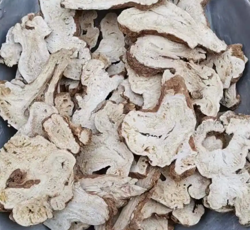 白术的功效与作用（白术的功效与作用与主治）