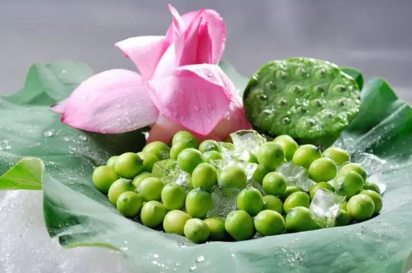 莲子的功效作用（莲子的功效作用和主治功能）