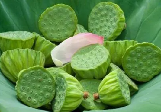 莲子的功效与作用（莲子的功效与作用及禁忌人群）