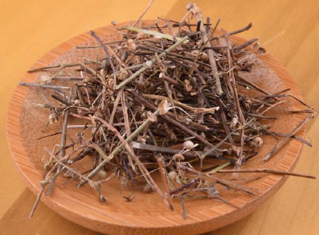 白花蛇草功效与作用(白花蛇草功效与作用主要治什么病)