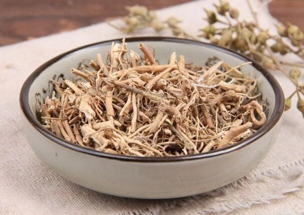 白前的作用与功效 如何使用白前