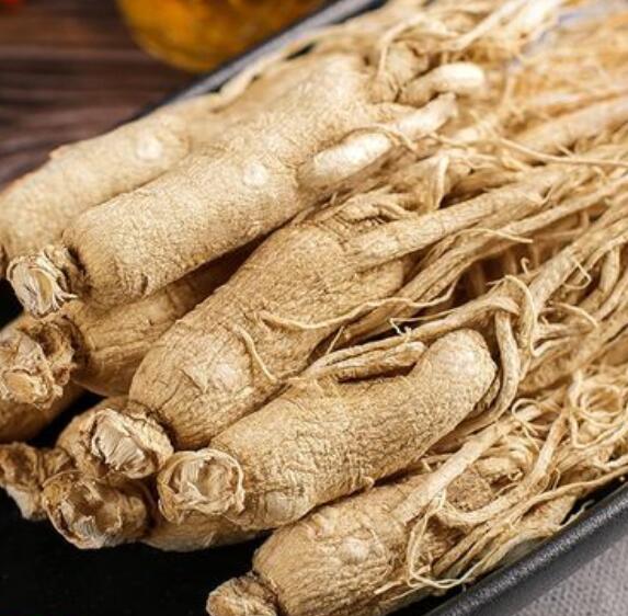 白参的功效与作用（白参的适当吃法用量）