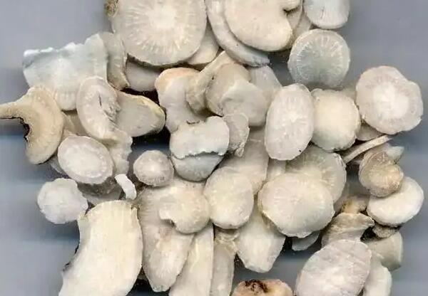 白芍的作用与功效 长期喝白芍有什么好处