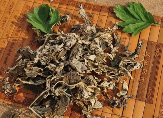 艾草泡脚作用与功效 艾草泡脚的作用是什么