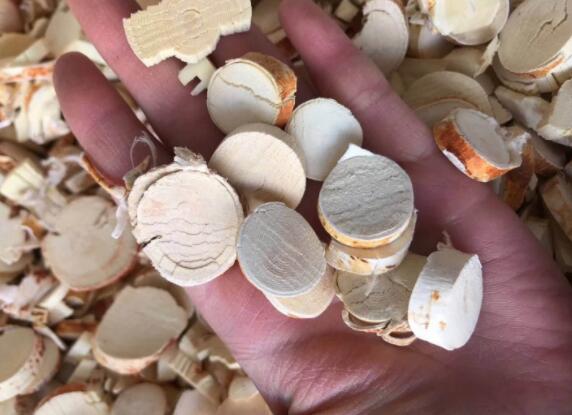 白附子的基本情况(白芷和白附子的功效与作用)