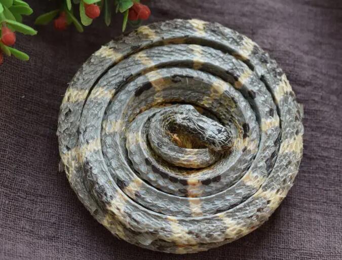 白花蛇的作用与功效（白花蛇的营养价值）