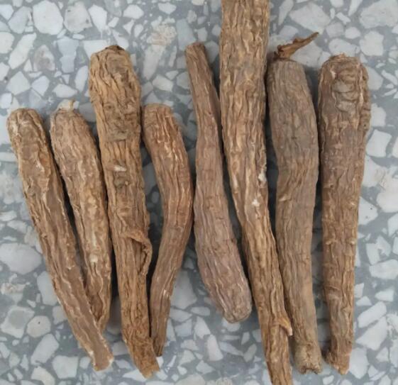 白芷的作用与功效(白芷的使用方法)