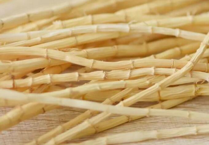 白茅根的作用（白茅根的禁忌）
