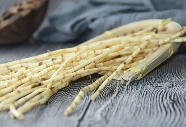 白茅根的功效与作用（白茅根泡水喝的功效）