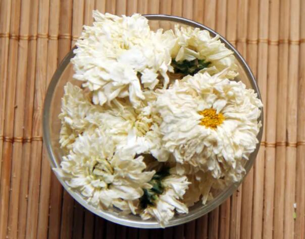 白菊花有美容效果吗（白菊花作用与功效是什么）