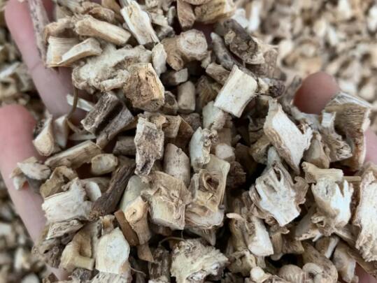 白鲜皮的作用和功能 白鲜皮主治什么病