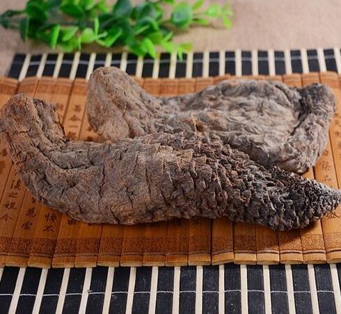 苁蓉的作用与功效（如何使用苁蓉）