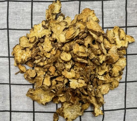 苍术的功效与作用(苍术主要治什么病)