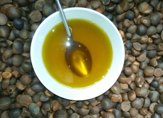 什么是茶油（茶油的功效与作用）