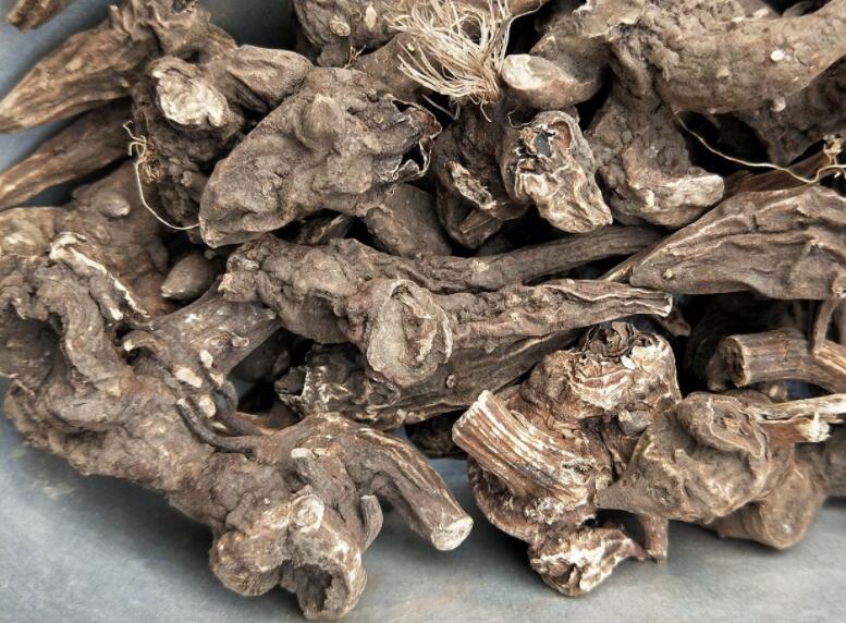 草乌的作用与功效（草乌的营养价值）