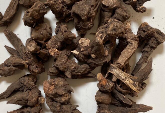 草乌的主要作用和功效 需要注意的草乌禁忌