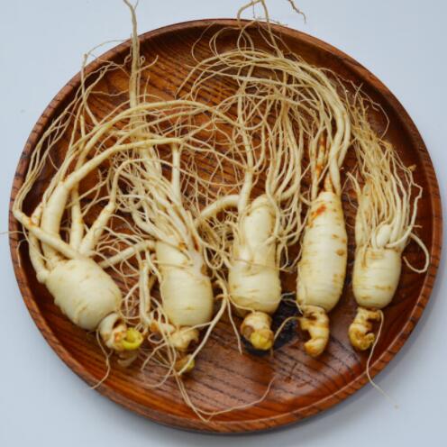 草参的作用 草参有什么药用价值