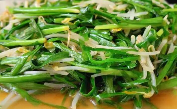 韭菜的营养价值（韭菜的功效与作用）
