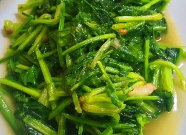 了解菠菜的功效与作用(菠菜的营养价值)