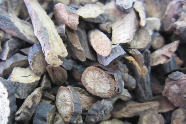 赤芍的作用和功效是什么 赤芍的注意事项