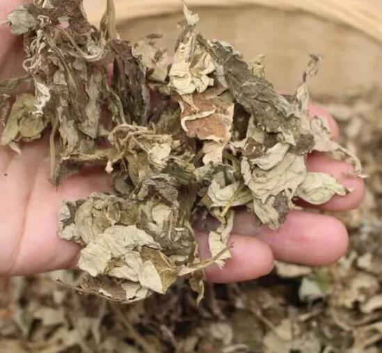 什么是陈艾（端午陈艾的功效与作用）