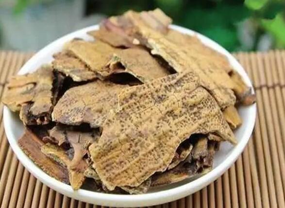 醋鳖甲的作用与功效 醋鳖甲治什么病最好