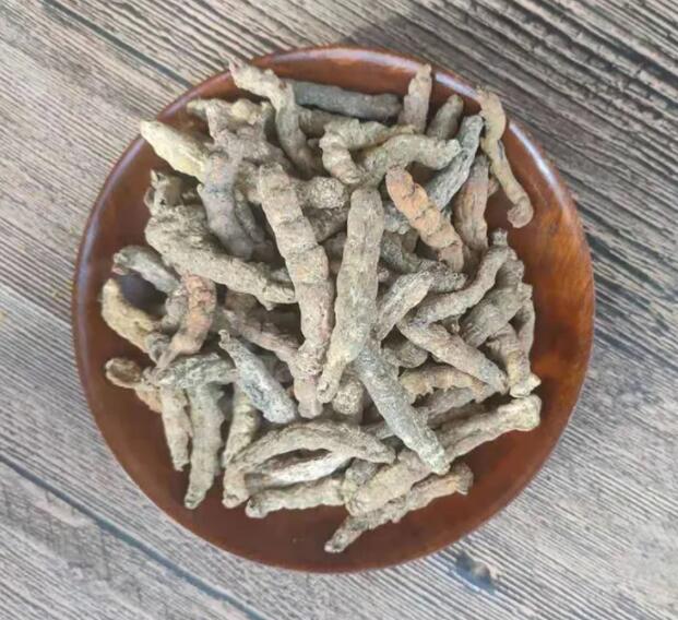 麸炒僵蚕作用  麸炒僵蚕的注意事项