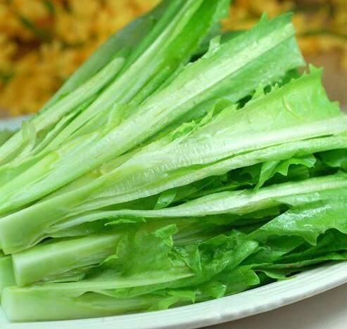 什么是凤尾（凤尾草的作用与功效）