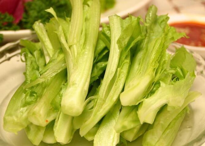凤尾草功效与作用的功能与主治