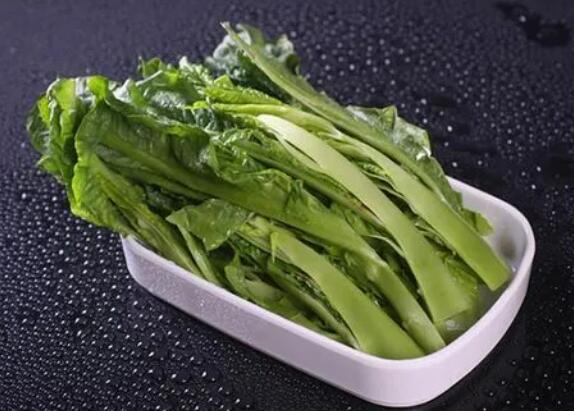 凤尾草的作用与用法 凤尾草的保健作用