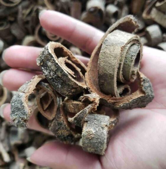厚朴的介绍 厚朴的功效与作用