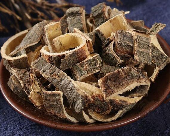 合欢皮的作用与功效（合欢皮能提高性功能吗）