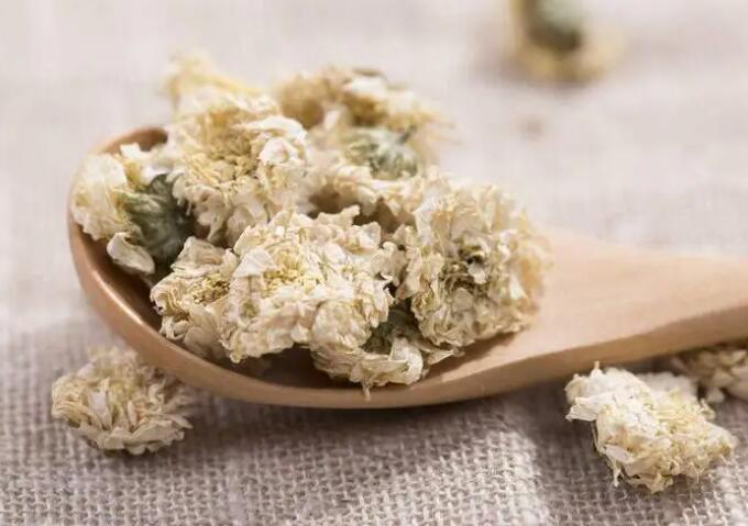 杭白菊的功效与作用（杭白菊美容养颜的作用）