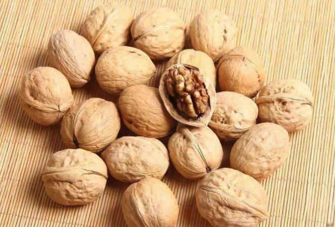 核桃的功效与作用 核桃仁的副作用和禁忌