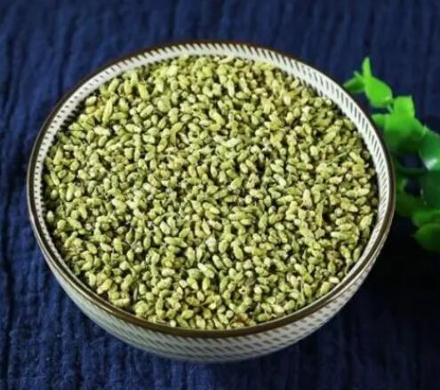 槐花的作用与功效（槐花应用范围）