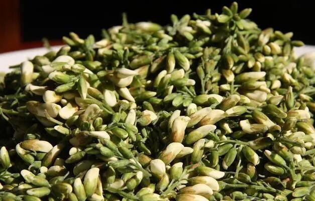 绿茶菊花槐花的作用 绿茶菊花槐花的联合应用