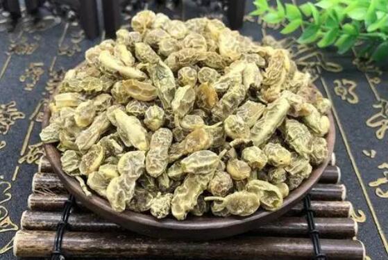 槐角功效与作用（槐角的禁忌）