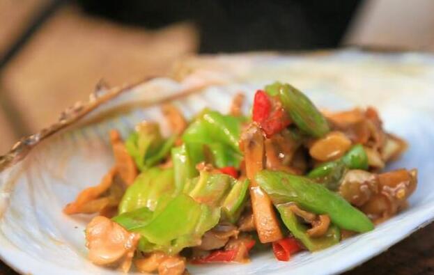 河蚌的功效与作用（河蚌的营养成分）