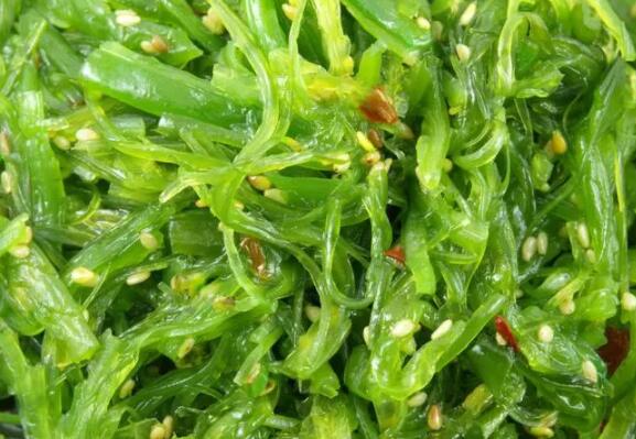 海藻的作用和功效（昆布的作用和功效）
