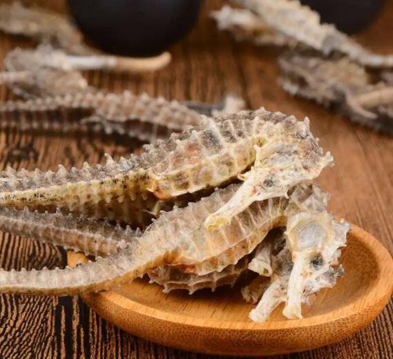 海马的功效与作用 海马的吃法