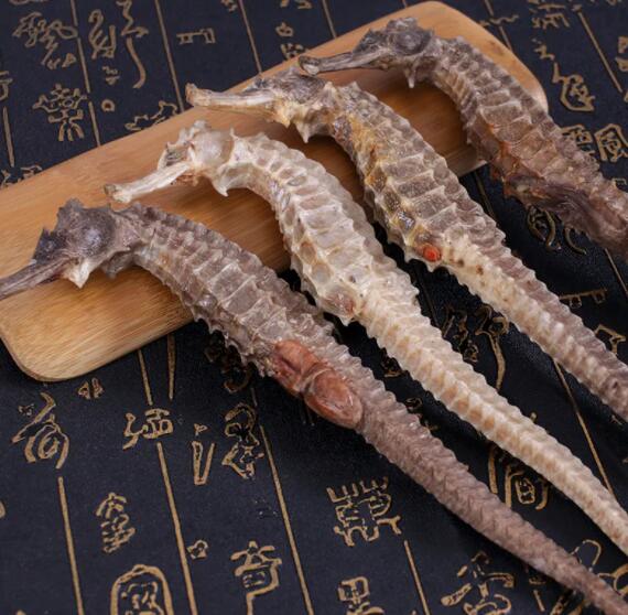 海马的功效和作用（如何食用海马）