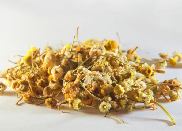 洋甘菊的功效与作用 洋甘菊对眼睛有什么好处